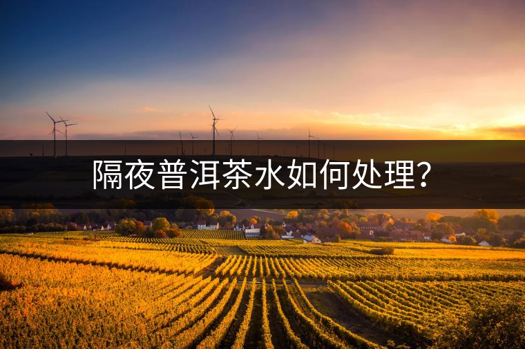 隔夜普洱茶水如何處理？