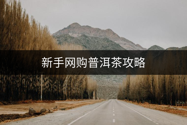 新手網(wǎng)購(gòu)普洱茶攻略