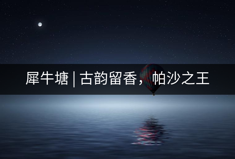 犀牛塘 | 古韻留香，帕沙之王