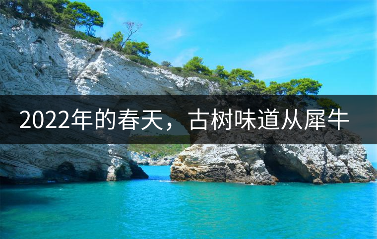 2022年的春天，古樹味道從犀牛塘開始！