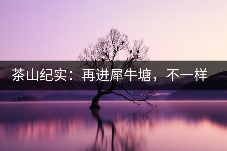 茶山紀(jì)實(shí)：再進(jìn)犀牛塘，不一樣的感覺；菁瑤可以預(yù)見的豐收年