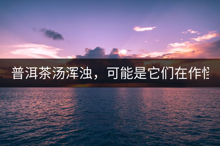 普洱茶湯渾濁，可能是它們在作怪？