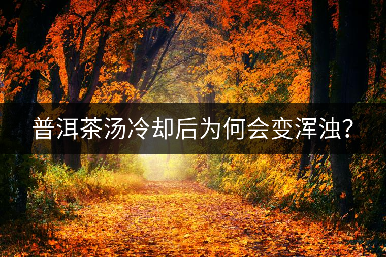 普洱茶湯冷卻后為何會變渾濁？