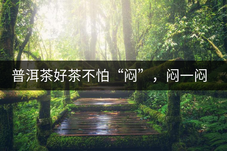 普洱茶好茶不怕“悶”，悶一悶看本味
