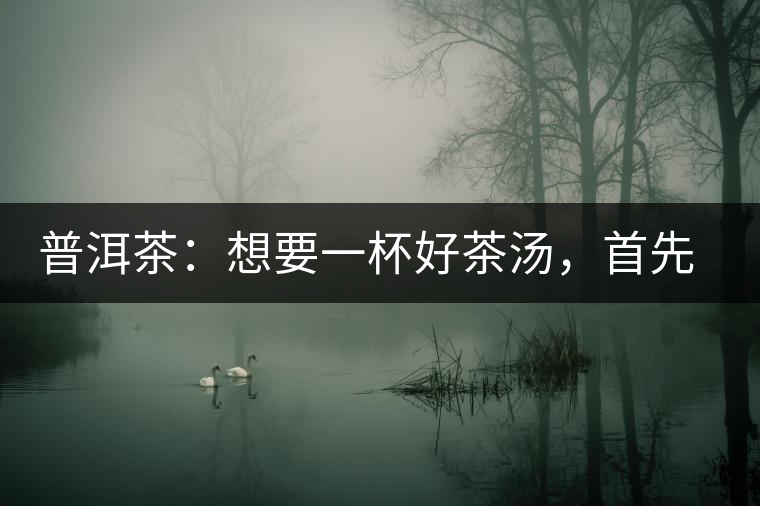 普洱茶：想要一杯好茶湯，首先要會醒茶