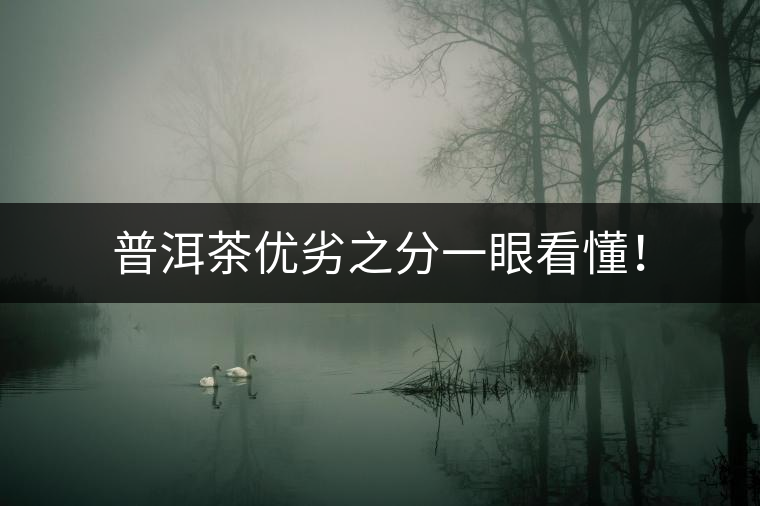 普洱茶優(yōu)劣之分一眼看懂！