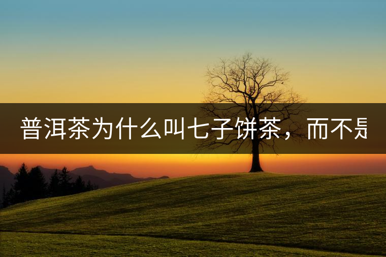 普洱茶為什么叫七子餅茶，而不是六子餅、八子餅......？