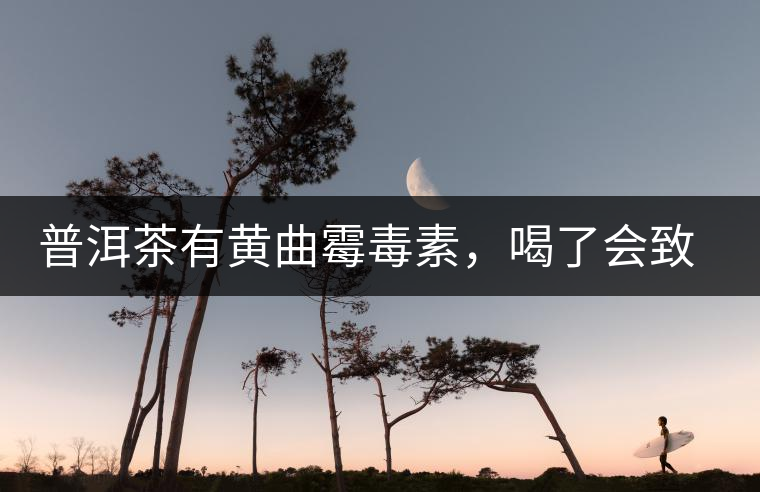 普洱茶有黃曲霉毒素，喝了會致癌？不黑不吹，咱用事實說話