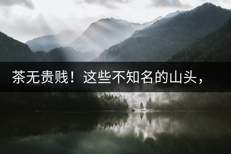 茶無貴賤！這些不知名的山頭，其實(shí)也產(chǎn)優(yōu)質(zhì)普洱茶！