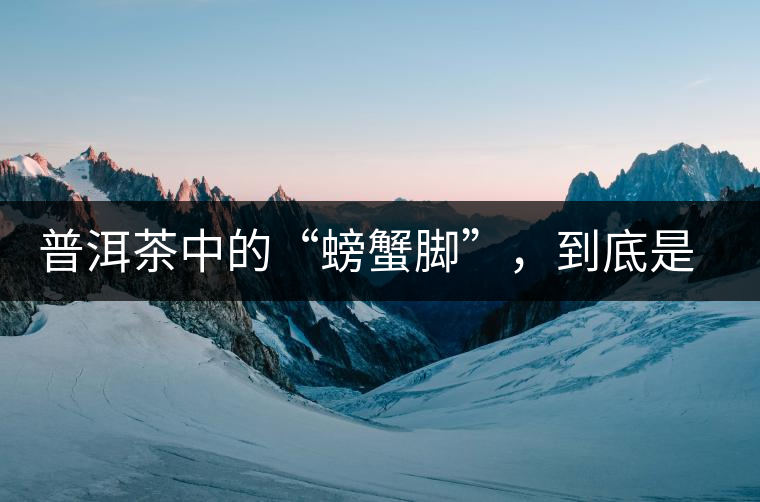 普洱茶中的“螃蟹腳”，到底是什么？如何辨別？