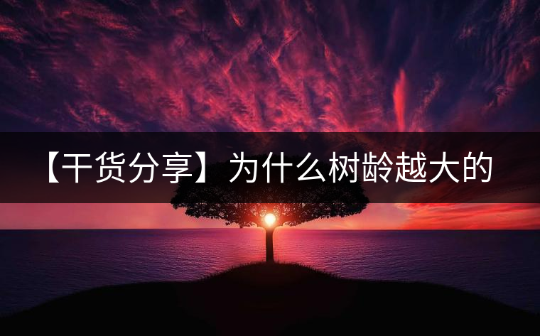 【干貨分享】為什么樹(shù)齡越大的普洱生茶，苦味越容易化掉？