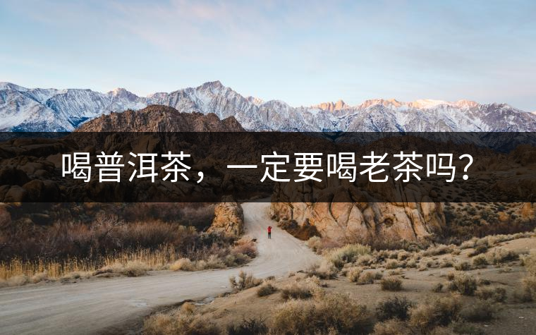 喝普洱茶，一定要喝老茶嗎？