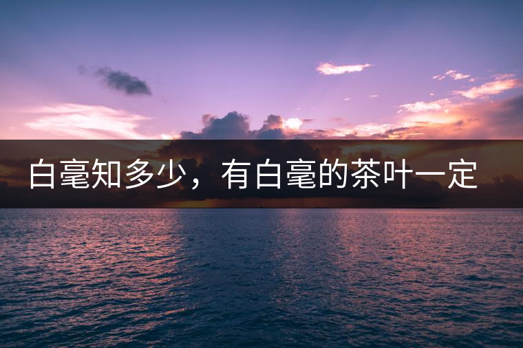 白毫知多少，有白毫的茶葉一定好嗎？