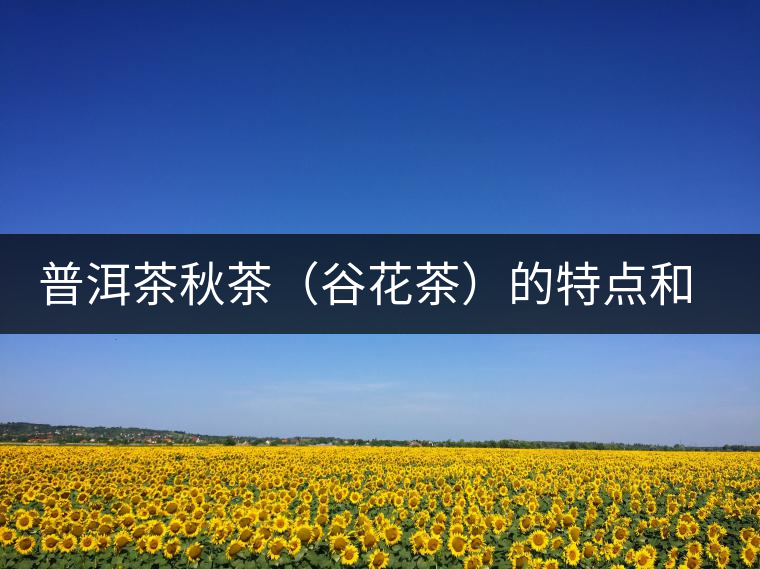 普洱茶秋茶(谷花茶)的特點和鑒別 普洱茶秋茶(谷花茶)的特點和鑒別