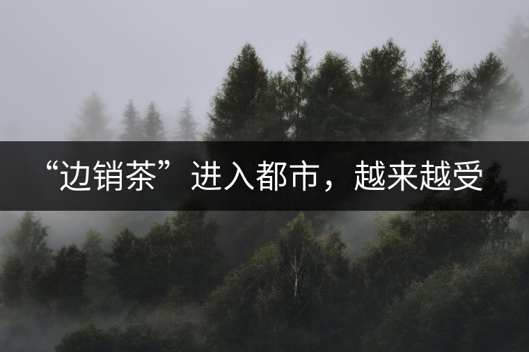 “邊銷茶”進(jìn)入都市，越來(lái)越受人們青睞