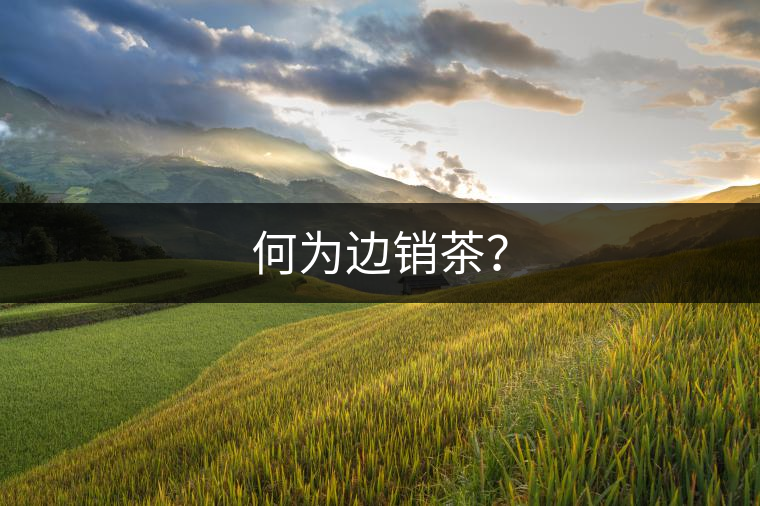 何為邊銷茶？