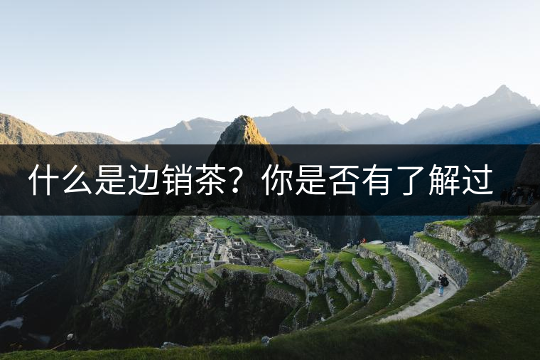 什么是邊銷茶？你是否有了解過邊銷茶呢？