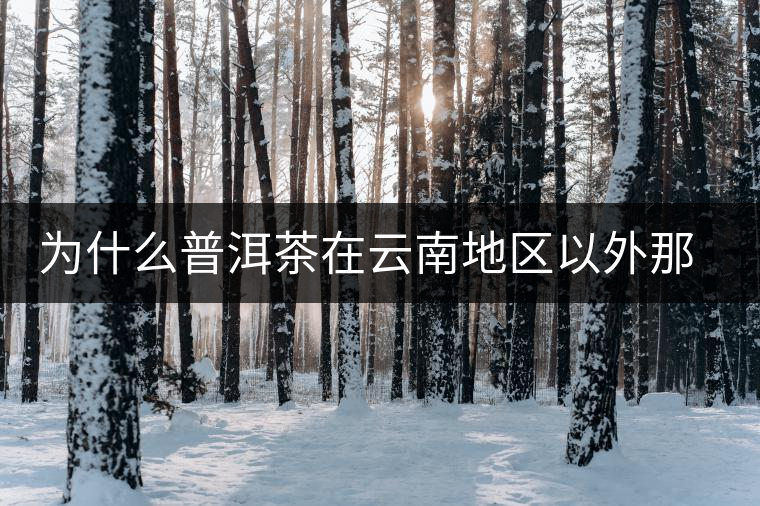 為什么普洱茶在云南地區(qū)以外那么受歡迎？