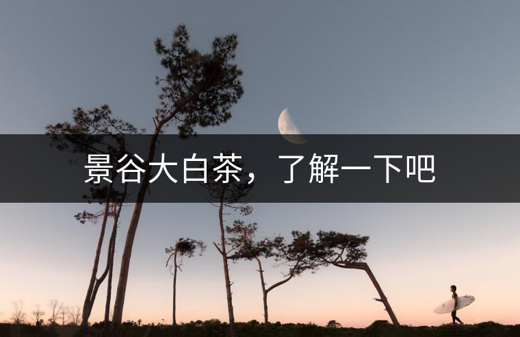 景谷大白茶，了解一下吧