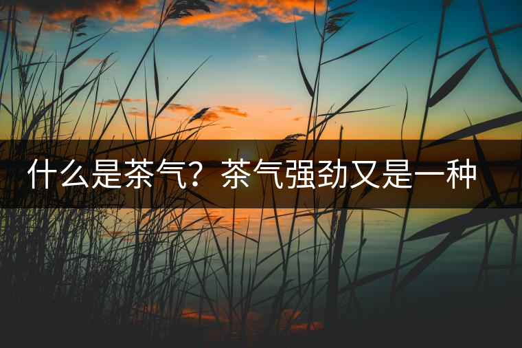 什么是茶氣？茶氣強勁又是一種怎樣的體驗？