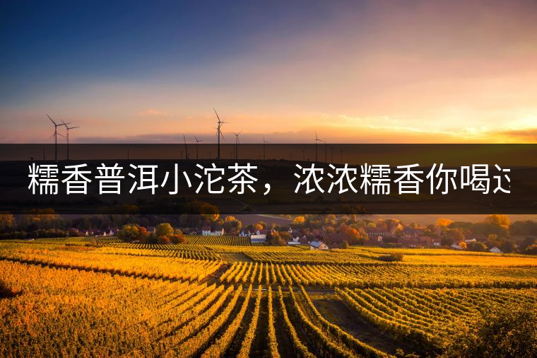 糯香普洱小沱茶，濃濃糯香你喝過嗎？