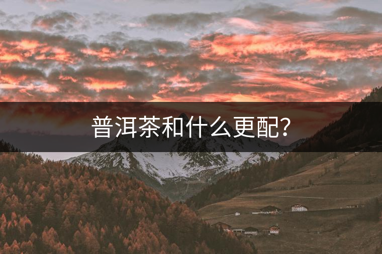 普洱茶和什么更配？