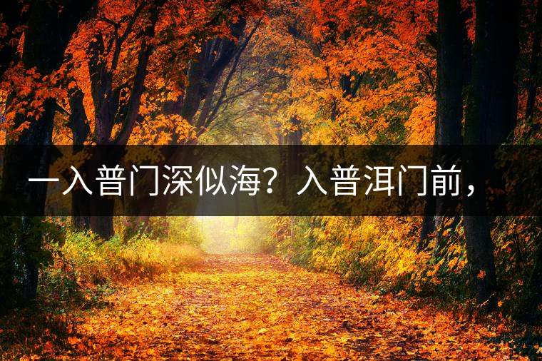一入普門深似海？入普洱門前，你需要了解這些
