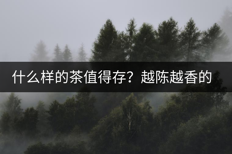 什么樣的茶值得存？越陳越香的本質(zhì)是什么？