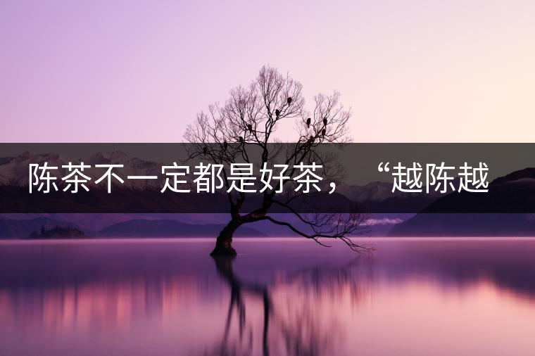 陳茶不一定都是好茶，“越陳越香”也要看茶種類！