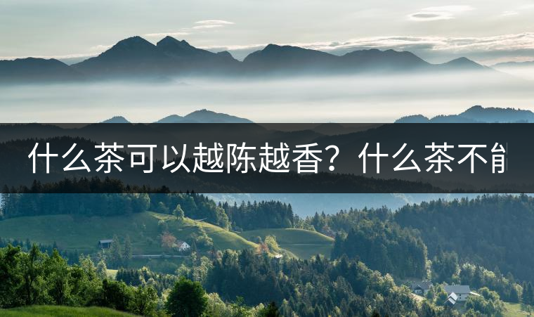 什么茶可以越陳越香？什么茶不能？