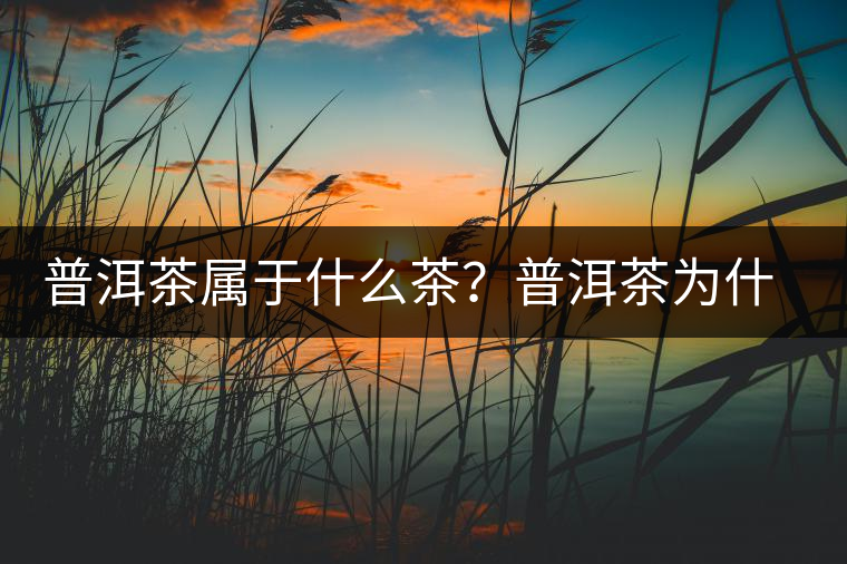 普洱茶屬于什么茶？普洱茶為什么會(huì)越陳越香？