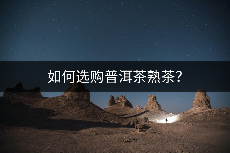 如何選購普洱茶熟茶？