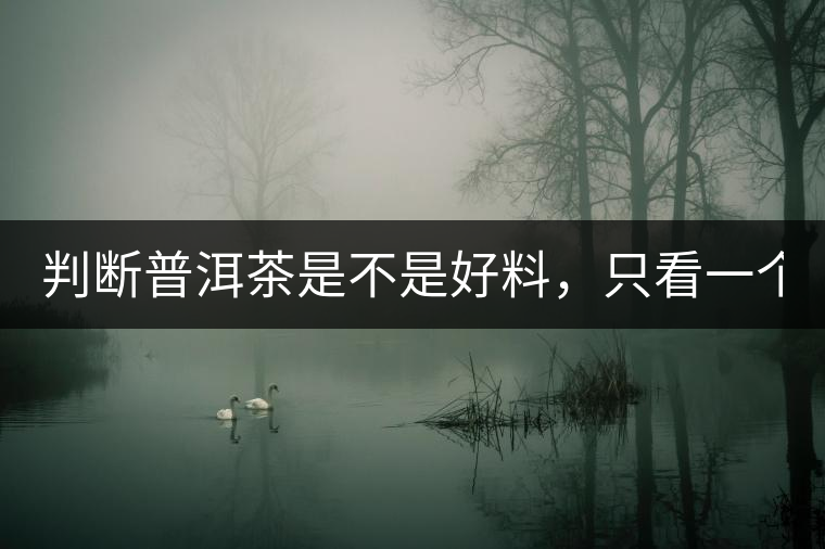 判斷普洱茶是不是好料，只看一個(gè)地方！