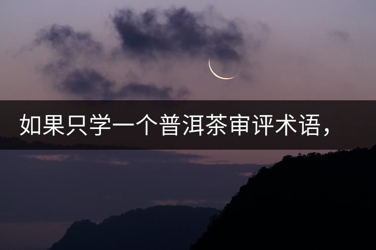 如果只學(xué)一個(gè)普洱茶審評(píng)術(shù)語，那應(yīng)該是什么？