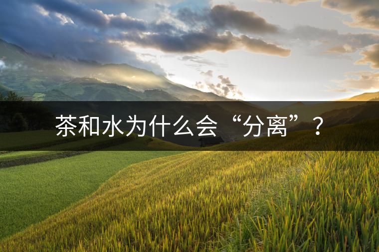 茶和水為什么會(huì)“分離”？