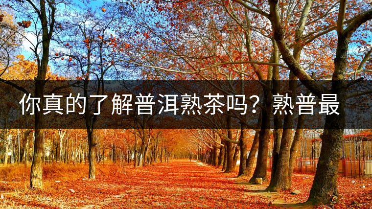 你真的了解普洱熟茶嗎？熟普最詳細(xì)的揭秘都在這里了。