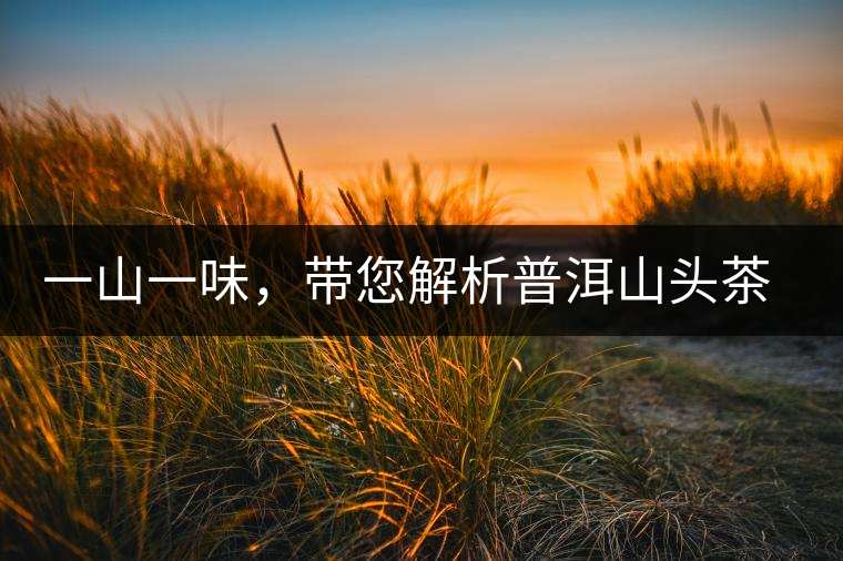 一山一味，帶您解析普洱山頭茶的密碼究竟是什么？