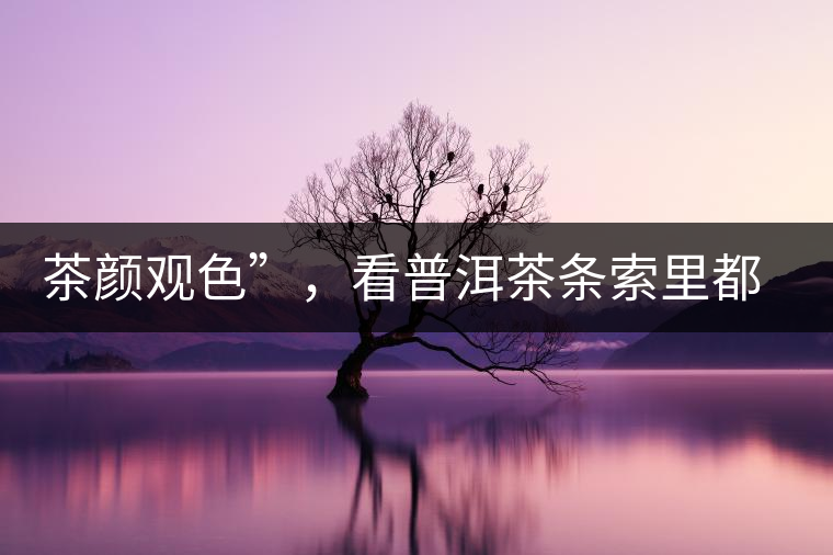 茶顏觀色”，看普洱茶條索里都蘊(yùn)含著怎樣的“密碼”？