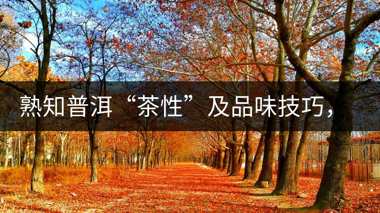 熟知普洱“茶性”及品味技巧，方能品出好茶