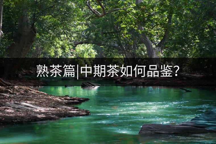 熟茶篇|中期茶如何品鑒？