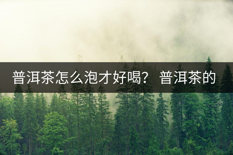 普洱茶怎么泡才好喝？ 普洱茶的沖泡技巧！