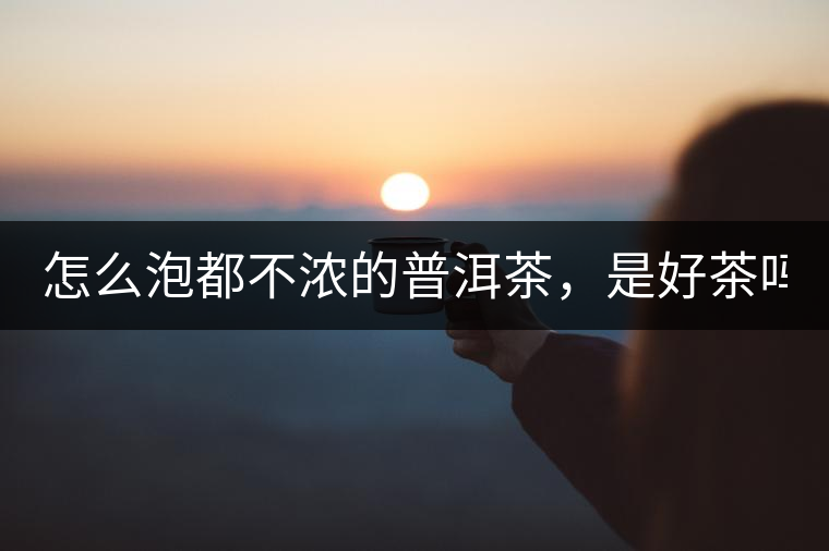 怎么泡都不濃的普洱茶，是好茶嗎？