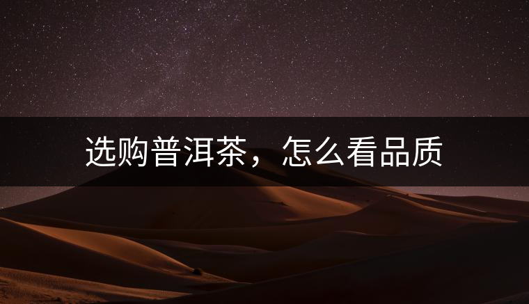 選購普洱茶，怎么看品質(zhì)