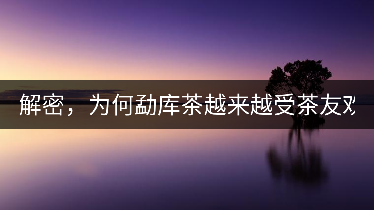 解密，為何勐庫茶越來越受茶友歡迎！