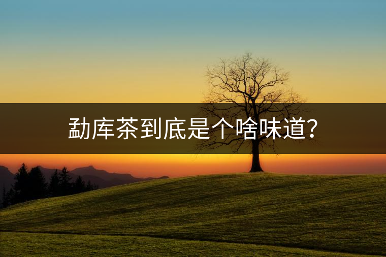 勐庫茶到底是個(gè)啥味道？