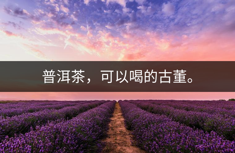 普洱茶，可以喝的古董。