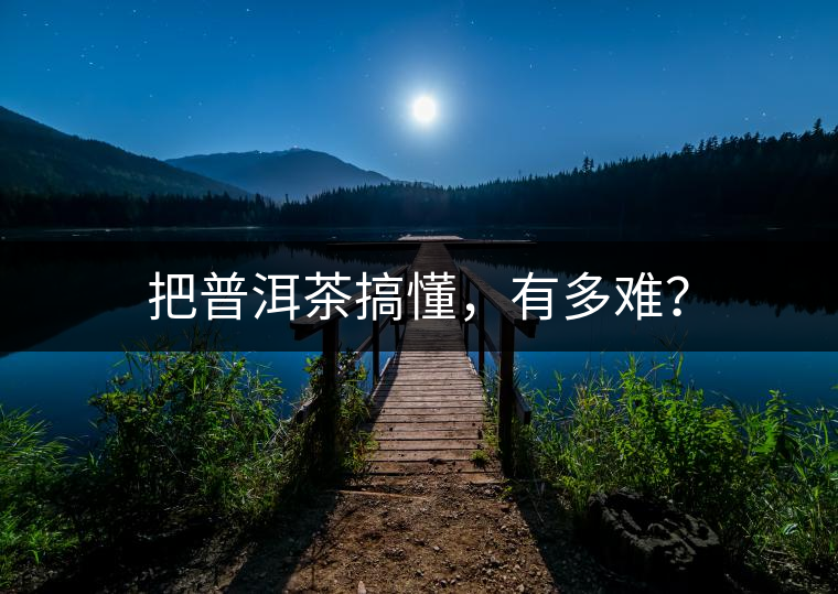 把普洱茶搞懂，有多難？