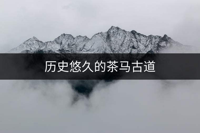 歷史悠久的茶馬古道