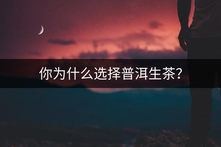 你為什么選擇普洱生茶？