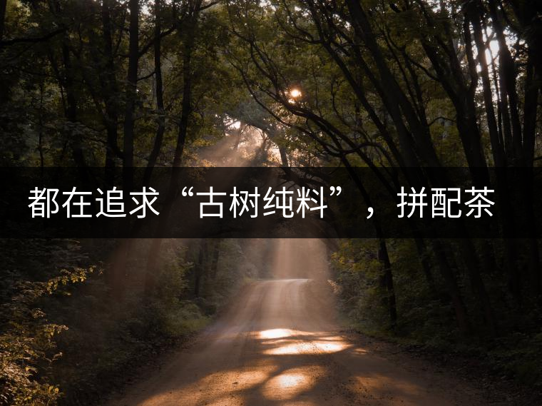 都在追求“古樹純料”，拼配茶真的不如純料的？